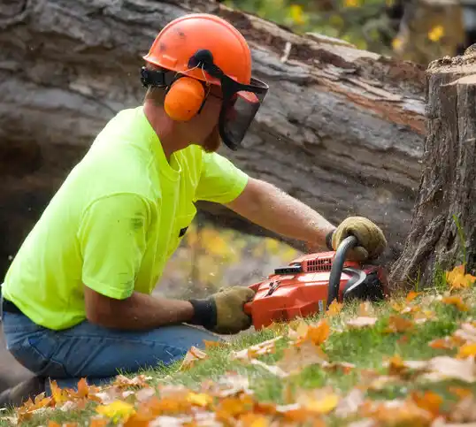 tree services Rock Creek